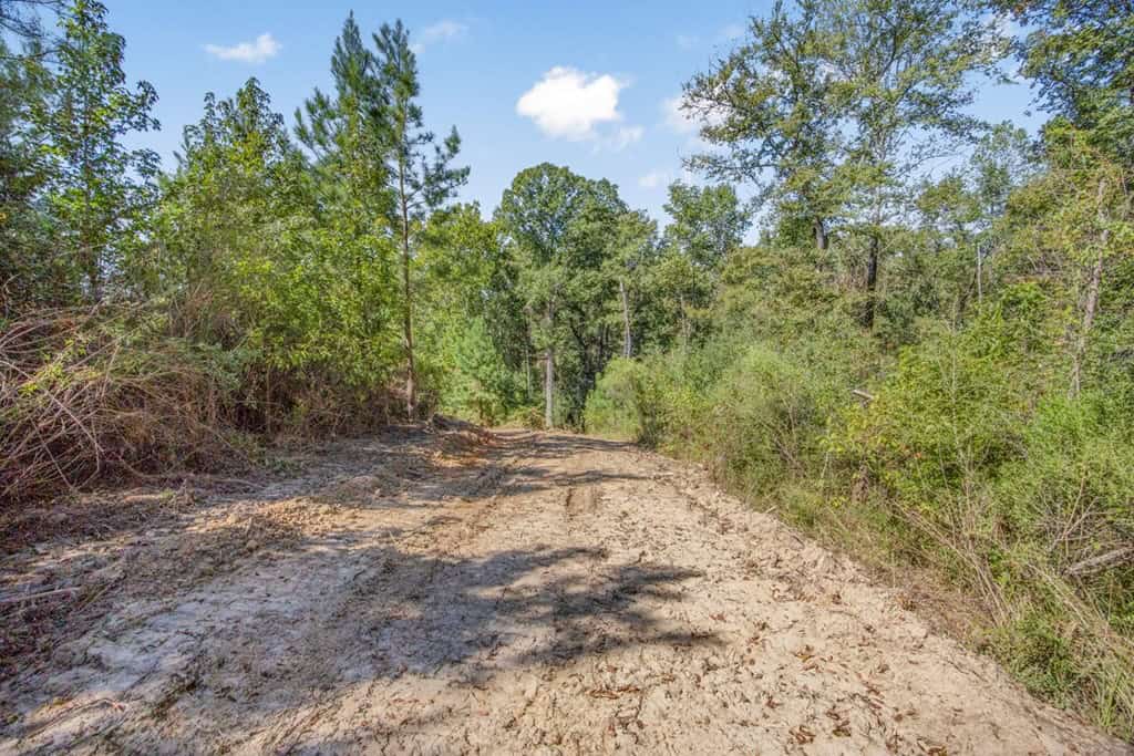 Affordable Hunting Property Adjoining National Forest
