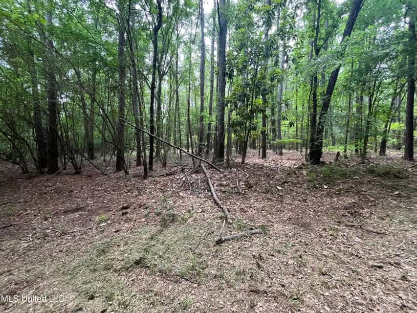 28 Acres in Hinds County