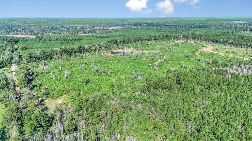 Small Hunting Tract in Amite County, MS