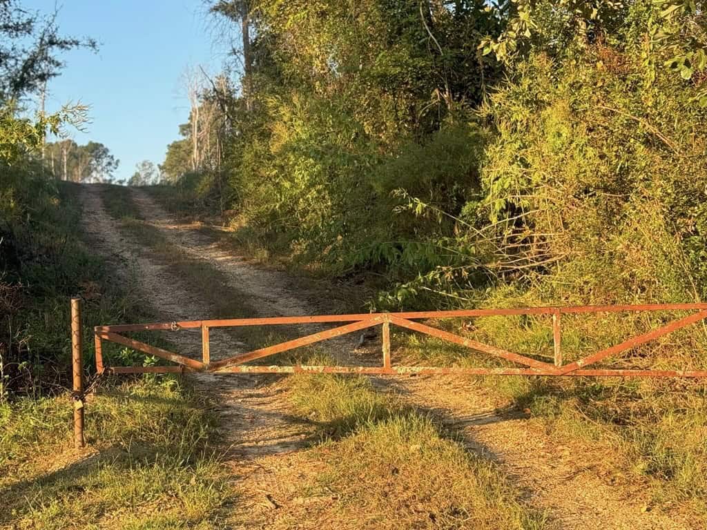 296 Acre Timberland for Sale with Creek Southwest MS
