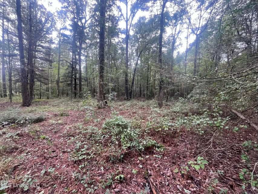 42 Acres for Sale with Old Country Home Scott Co MS