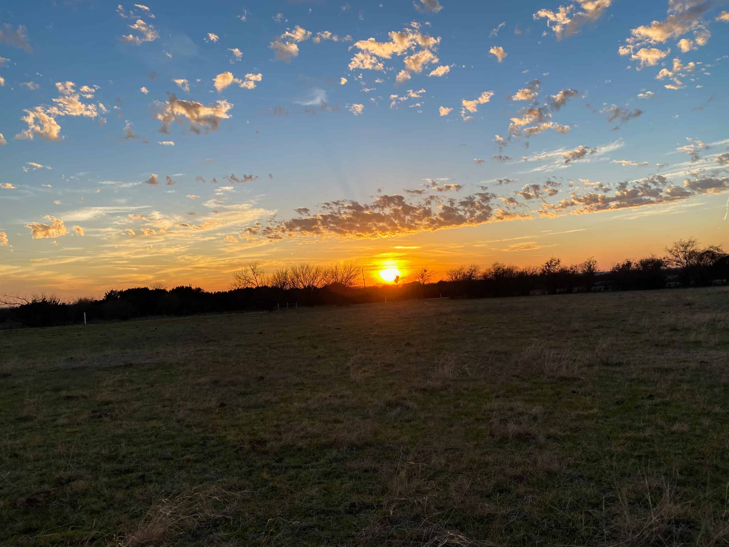 Central Texas 34.5-Acre Fenced Ranch for Sale – Perfect Custom Home Site