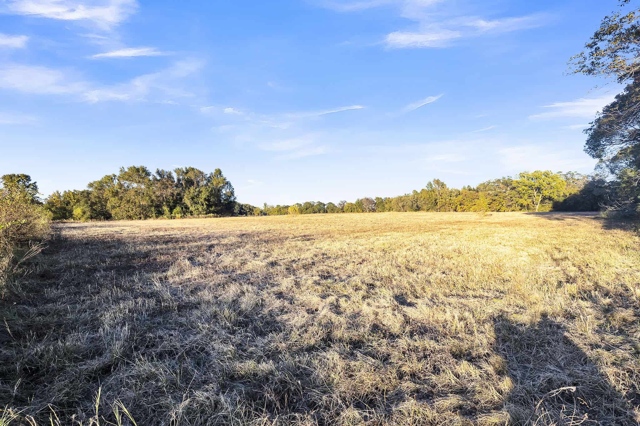 SOLD! Texas Land for Sale East of Dallas Near Ben Wheeler