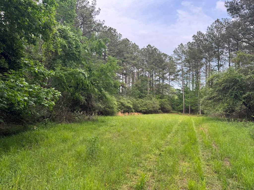 45 Acre Timberland Hunting Lincoln County South MS