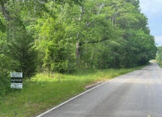 45 Acre Timberland Hunting Lincoln County South MS