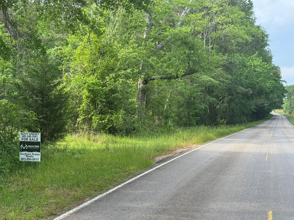 45 Acre Timberland Hunting Lincoln County South MS
