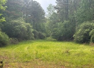 45 Acre Timberland Hunting Lincoln County South MS