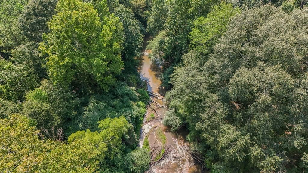 137 Acres for Sale with Comite River Frontage