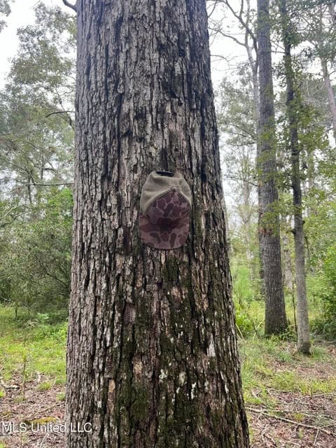 42 Acres for Sale with Old Country Home Scott Co MS