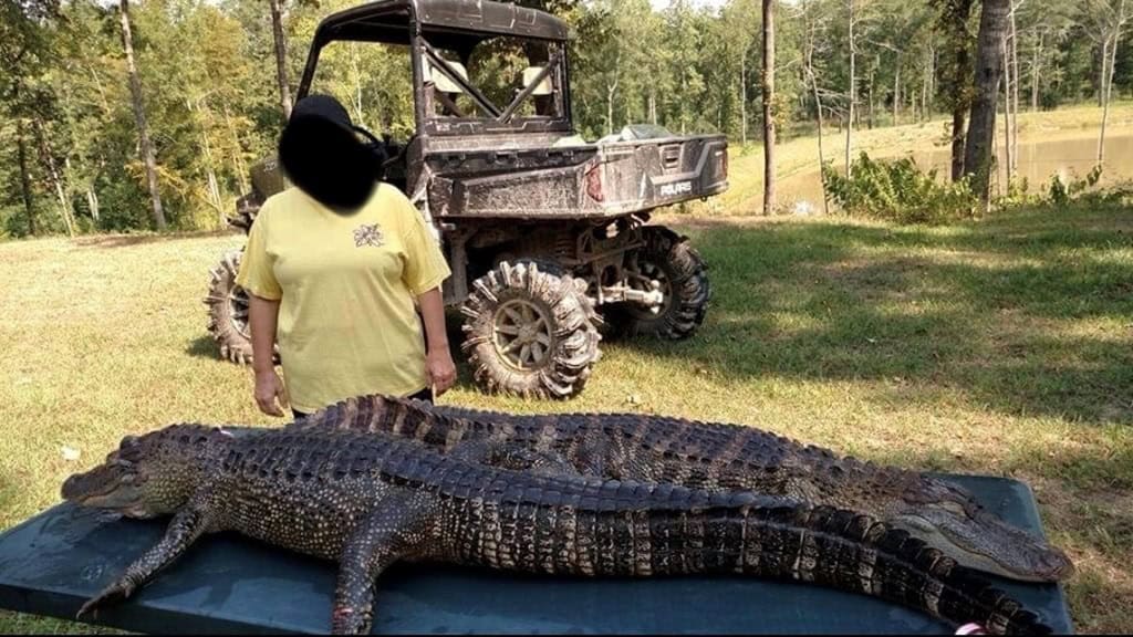 Duck Hunting Paradise for Sale in Ouachita Parish