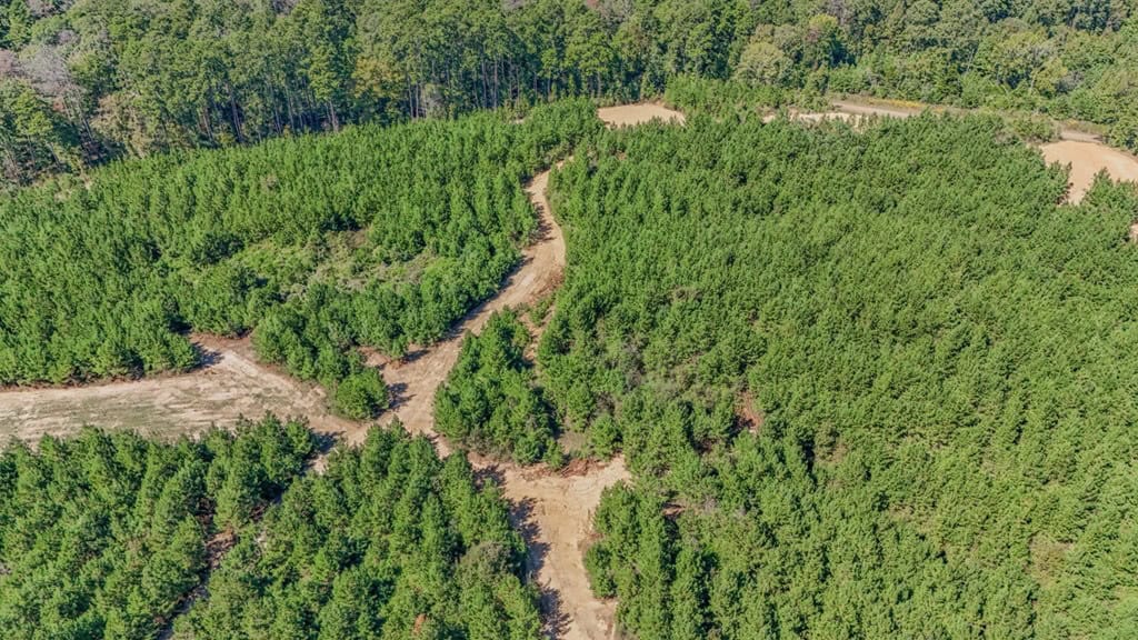 Franklin County Land Adjoining Homochitto National Forest