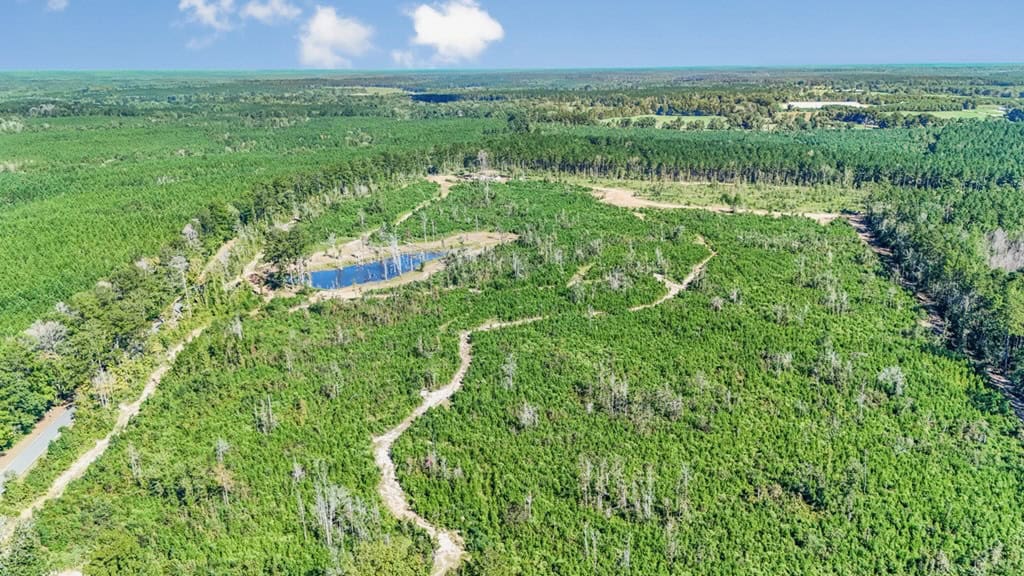 Small Hunting Tract in Amite County, MS