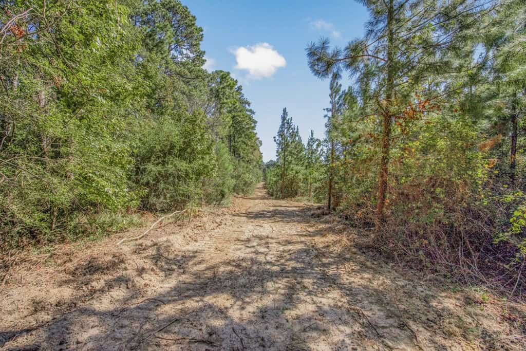 Affordable Hunting Property Adjoining National Forest