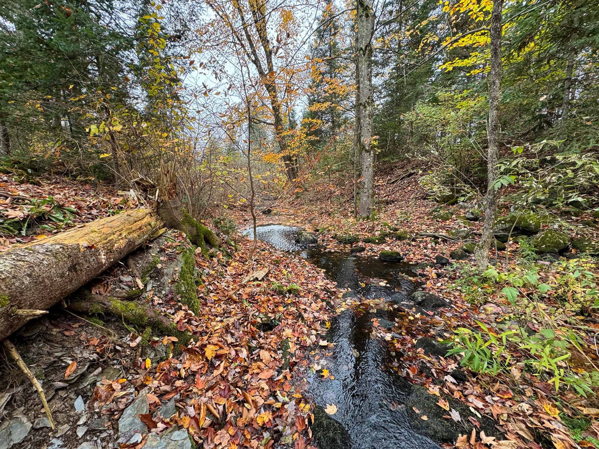 Homestead & Hunting Land in Central Maine