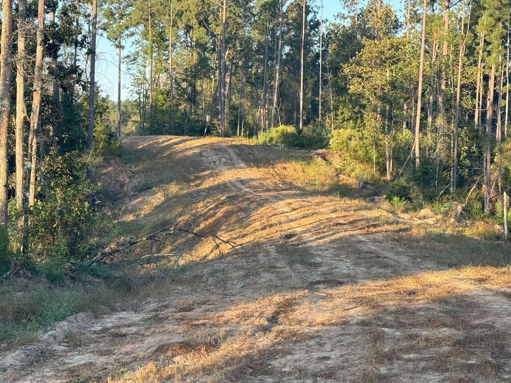 296 Acre Timberland for Sale with Creek Southwest MS