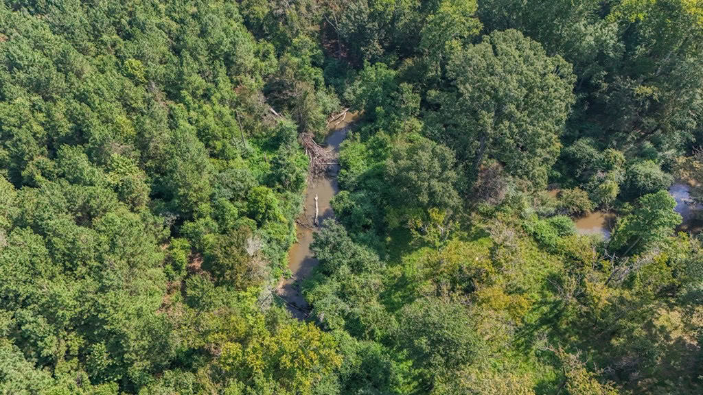 137 Acres for Sale with Comite River Frontage