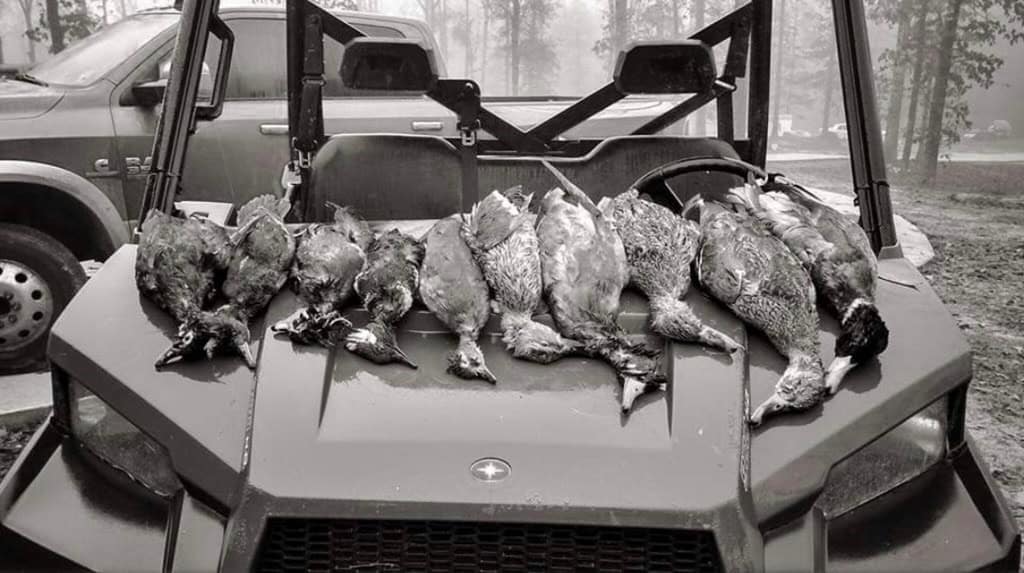 Duck Hunting Paradise for Sale in Ouachita Parish