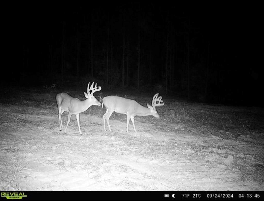 Turnkey Property in Amite County Connected to Caston Creek