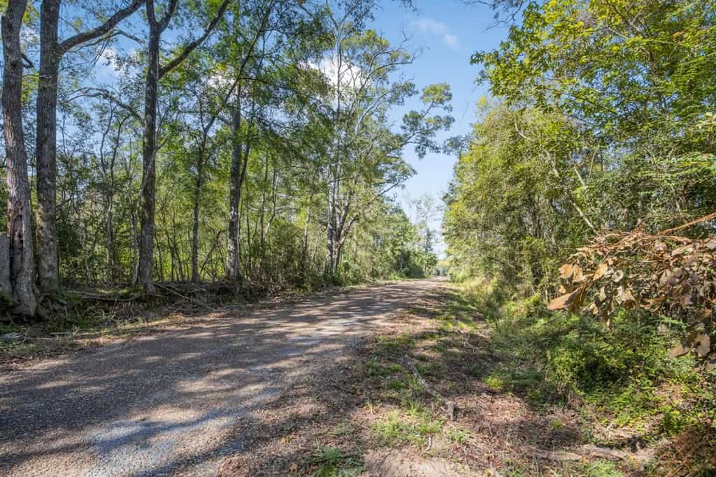 Small Hunting Tract in Amite County, MS