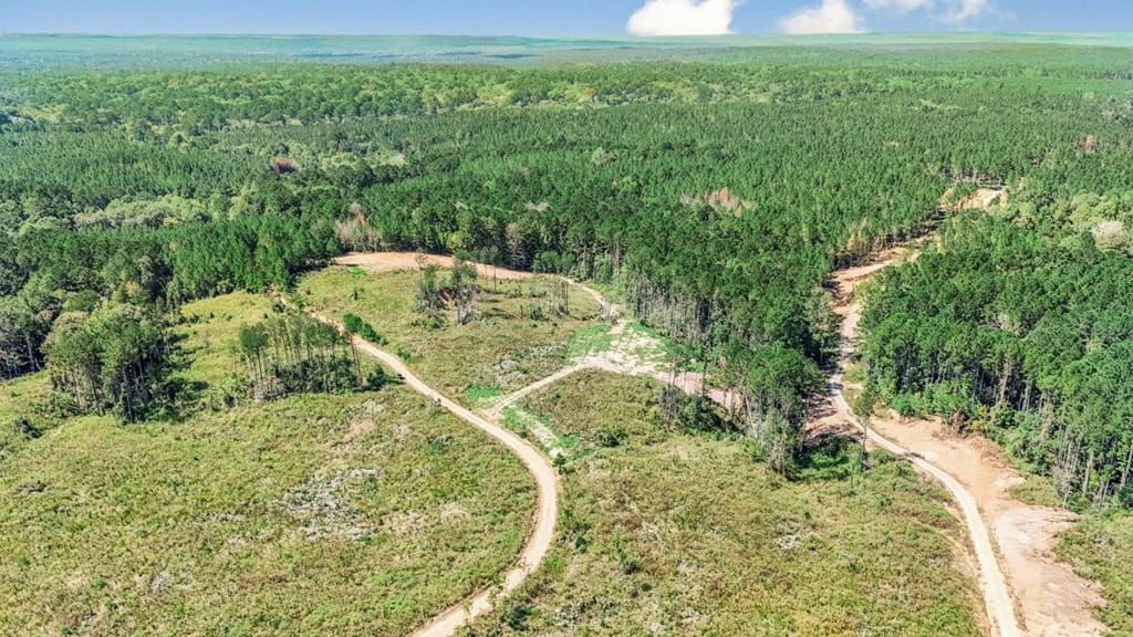 Turnkey Hunting Property Connected to Caston Creek WMA