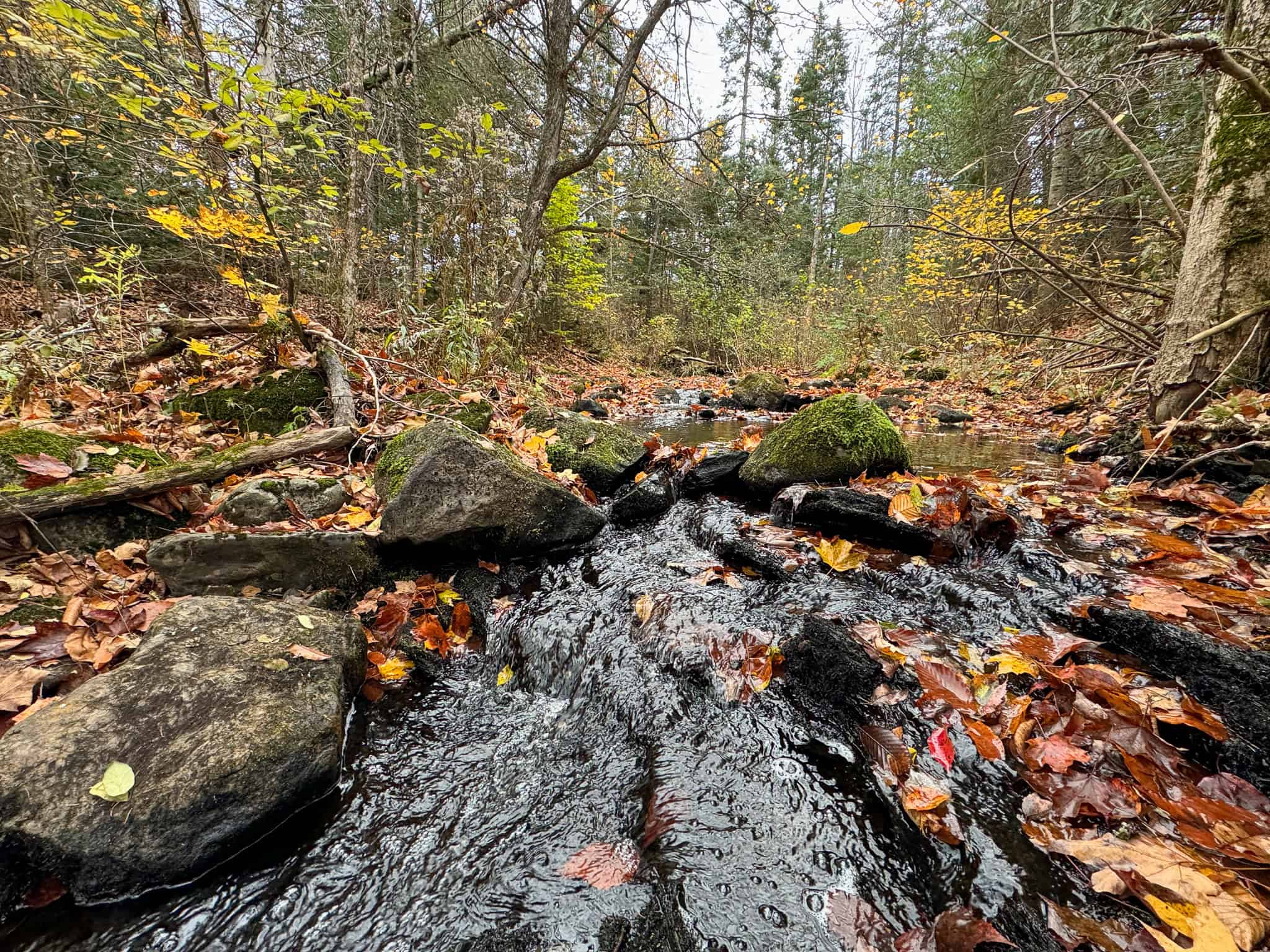 Homestead & Hunting Land in Central Maine