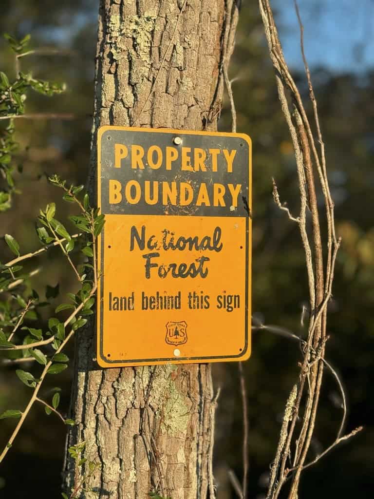 296 Acre Timberland for Sale with Creek Southwest MS