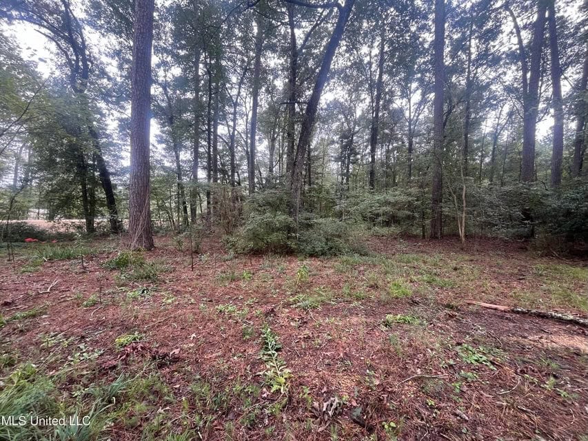 42 Acres for Sale with Old Country Home Scott Co MS