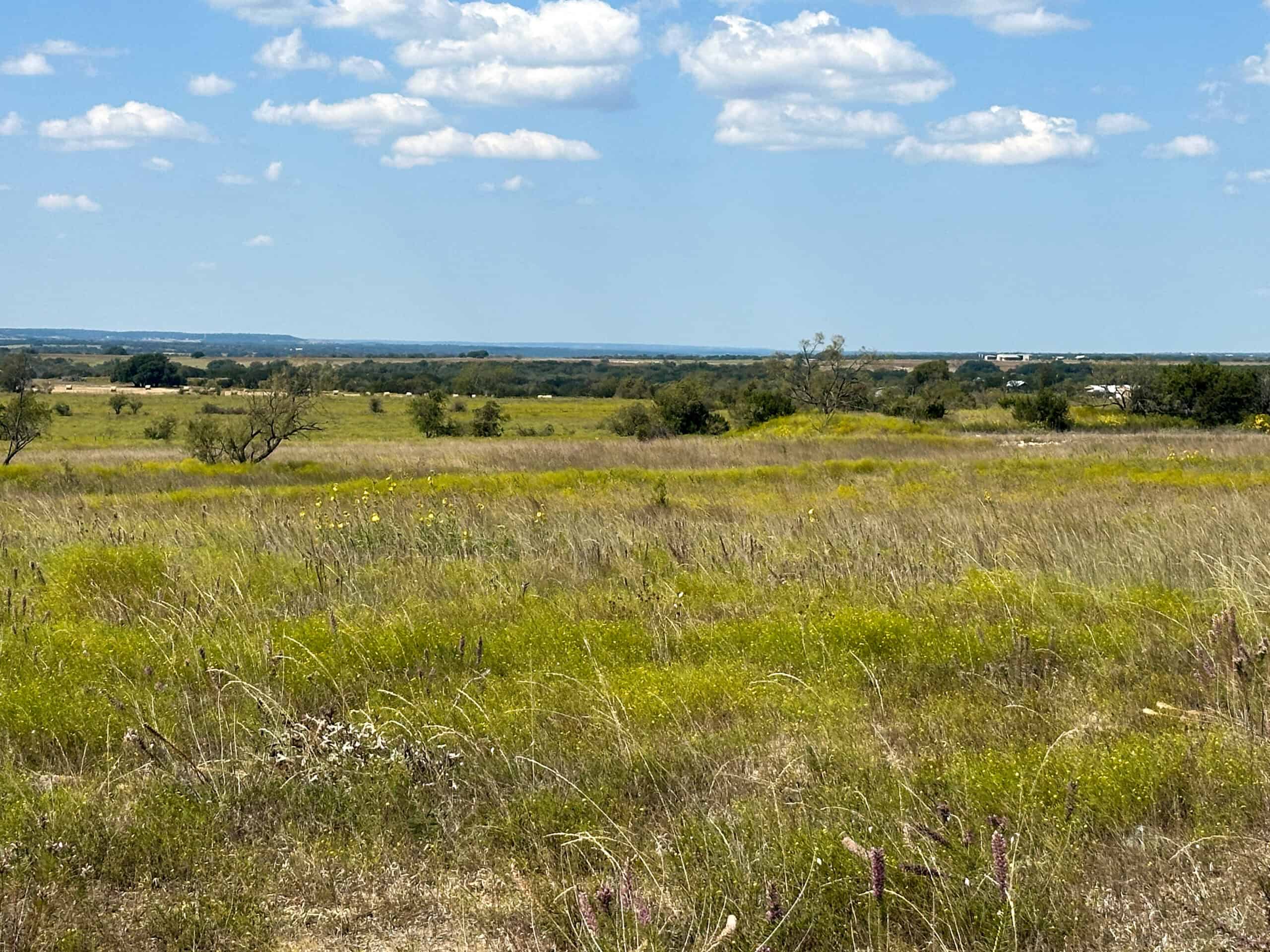 Central Texas 34.5-Acre Fenced Ranch for Sale – Perfect Custom Home Site