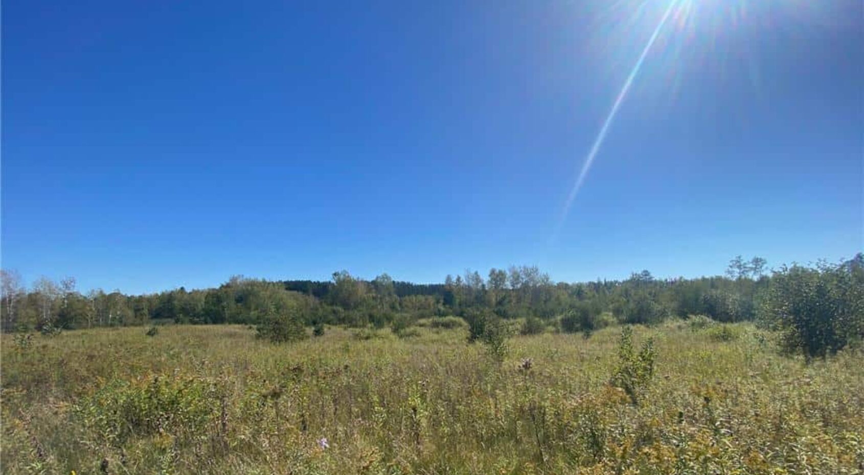 Hunting Land w/ Cabin, Ponds, Trails For Sale in Askov MN UC Hunting