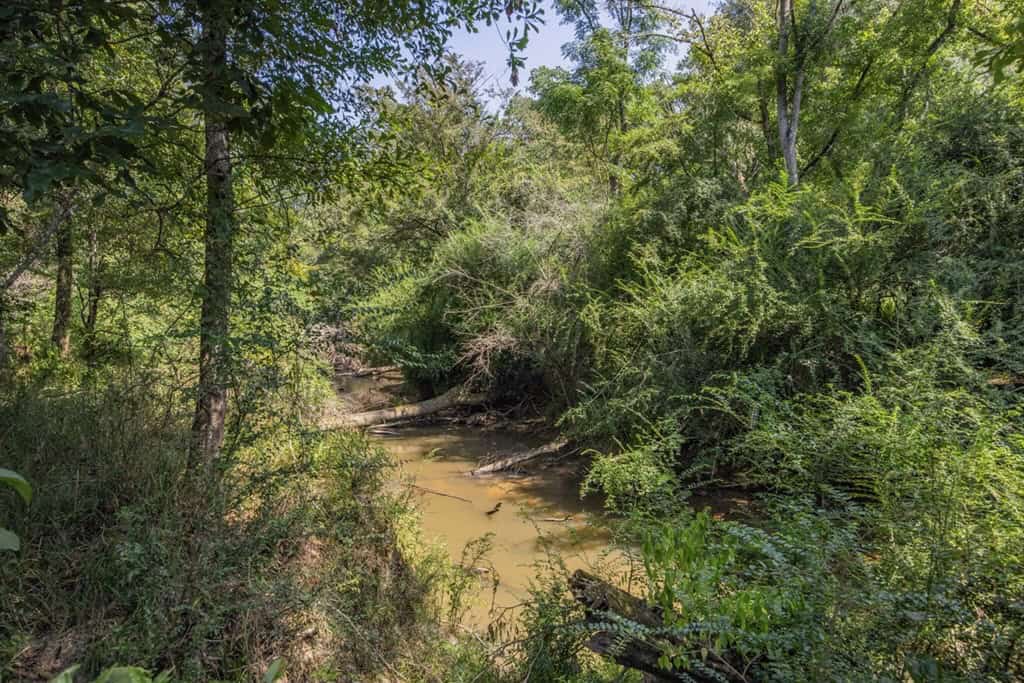 137 Acres for Sale with Comite River Frontage