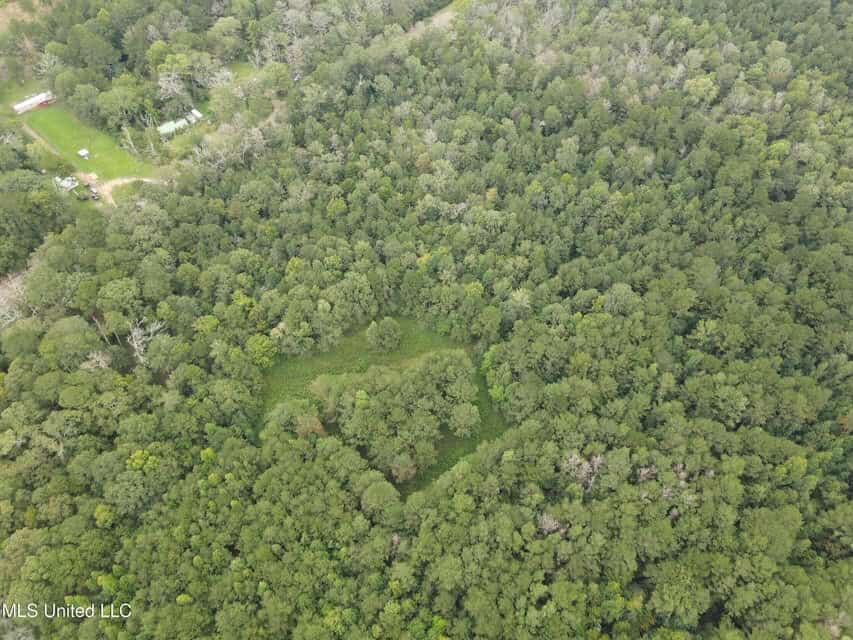 42 Acres for Sale with Old Country Home Scott Co MS