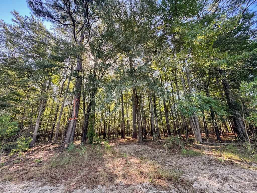 Hunting and Timberland for Sale in Ouachita Parish, LA