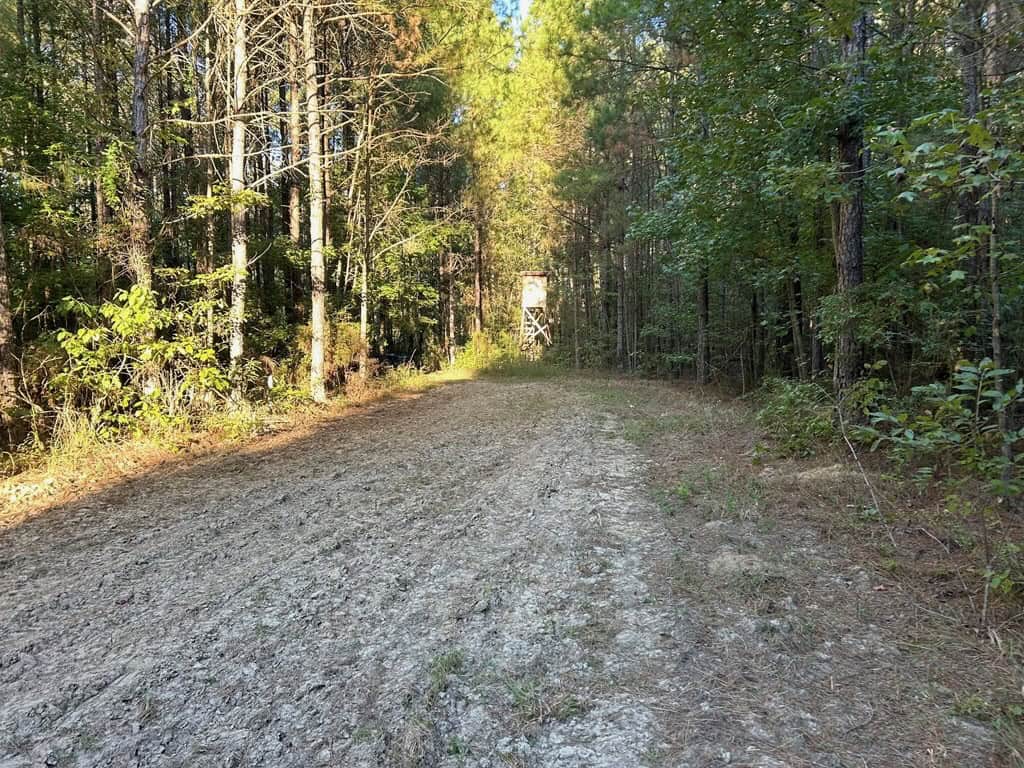 Smithdale MS 100+- Acres For Sale