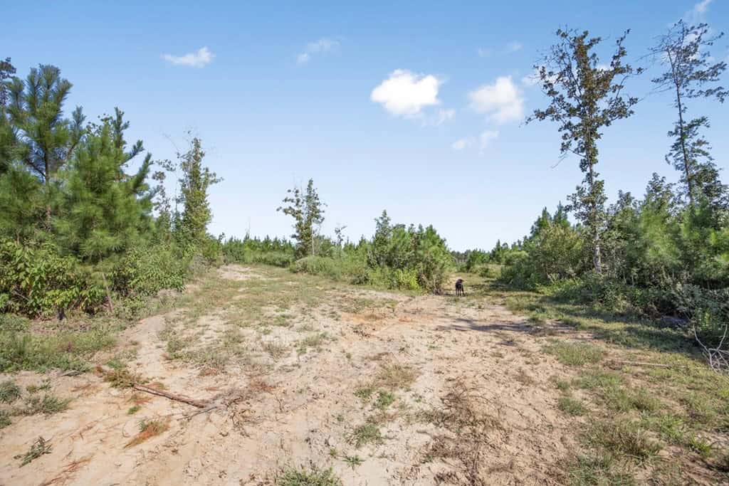 Small Hunting Tract in Amite County, MS