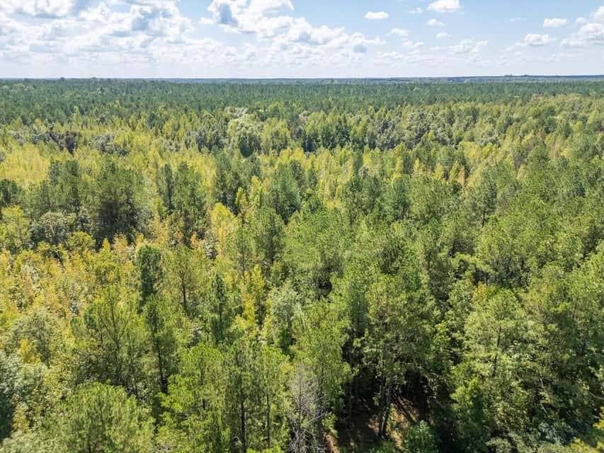 35 Acres For Sale Starkville MS