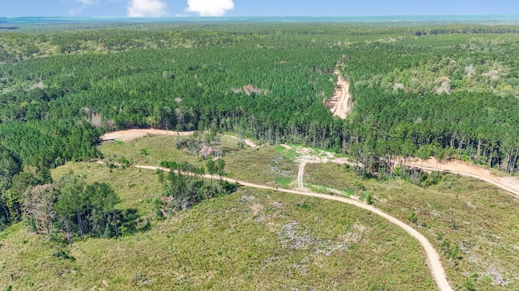 Turnkey Hunting Property Connected to Caston Creek WMA