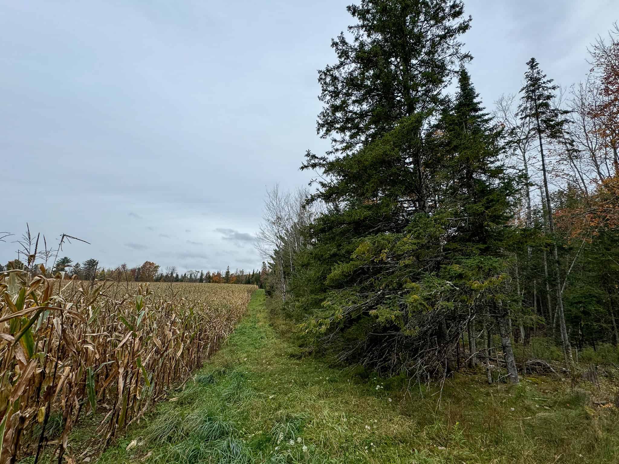 Homestead & Hunting Land in Central Maine