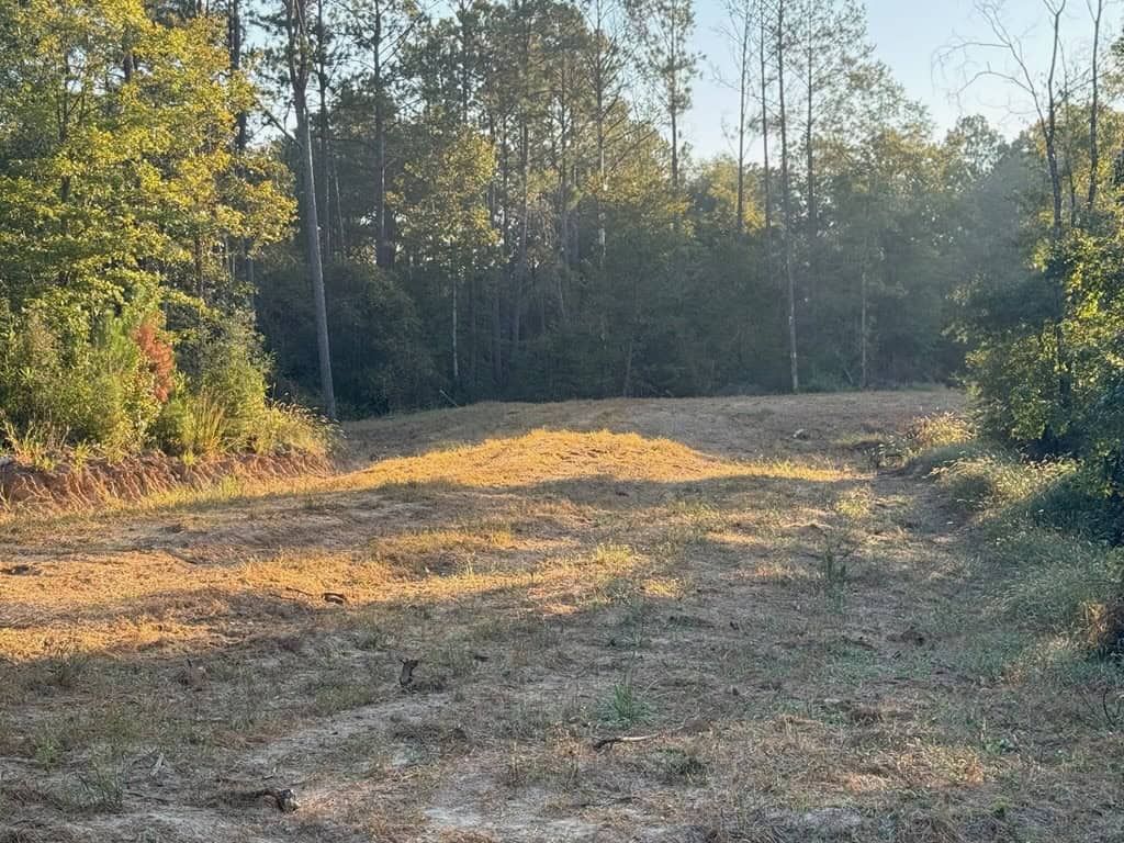 296 Acre Timberland for Sale with Creek Southwest MS