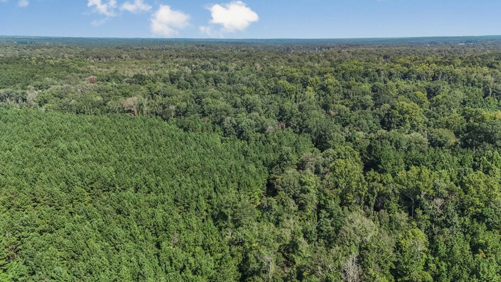 137 Acres for Sale with Comite River Frontage