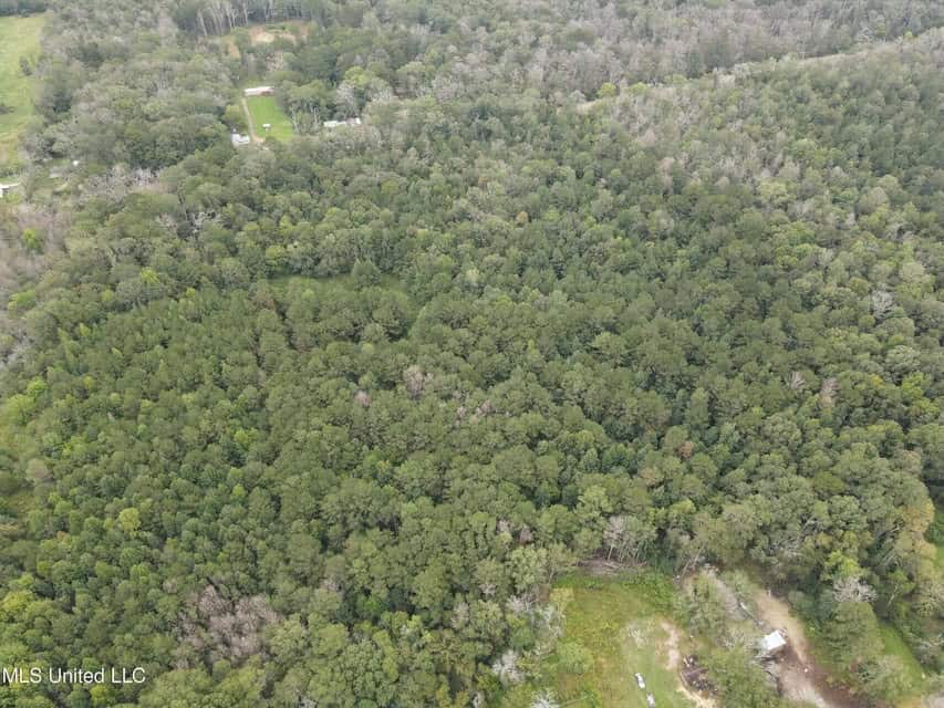 42 Acres for Sale with Old Country Home Scott Co MS