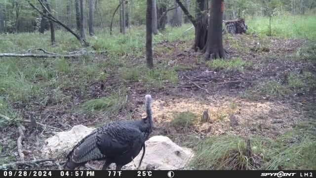 Duck Hunting Paradise for Sale in Ouachita Parish