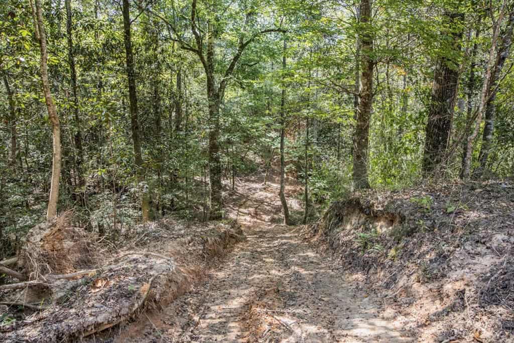 Turnkey Property in Amite County Connected to Caston Creek
