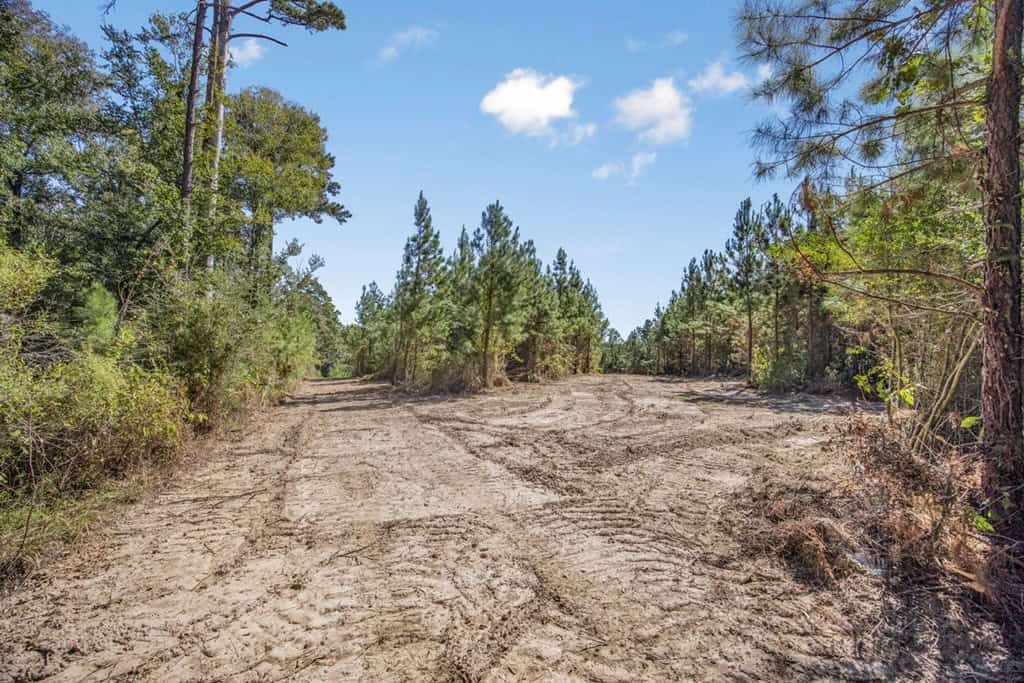 Affordable Hunting Property Adjoining National Forest