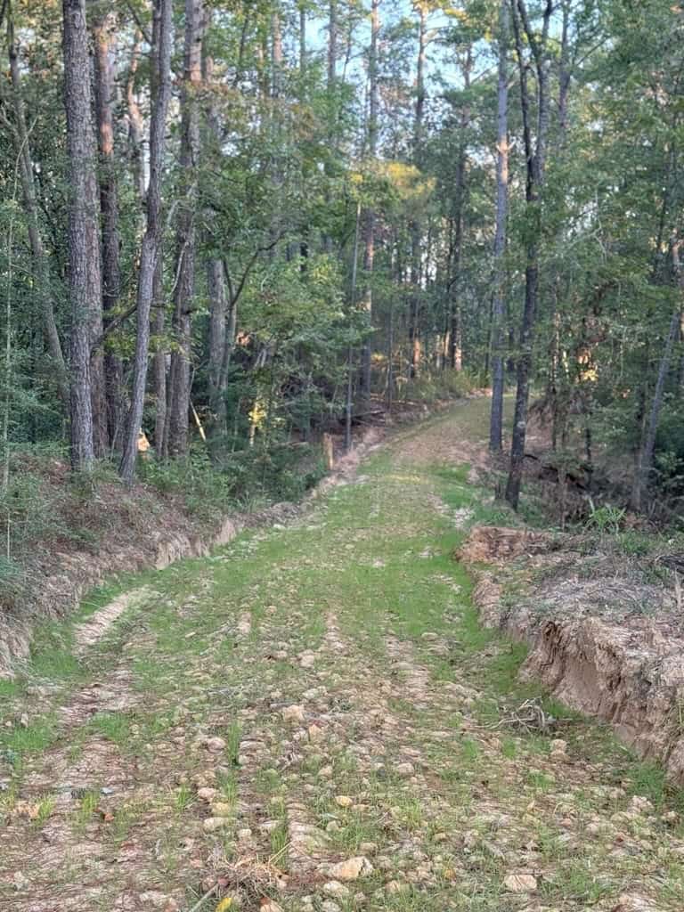 296 Acre Timberland for Sale with Creek Southwest MS