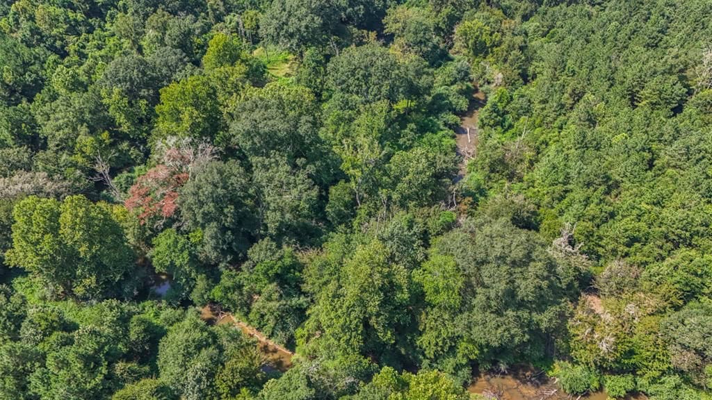 137 Acres for Sale with Comite River Frontage