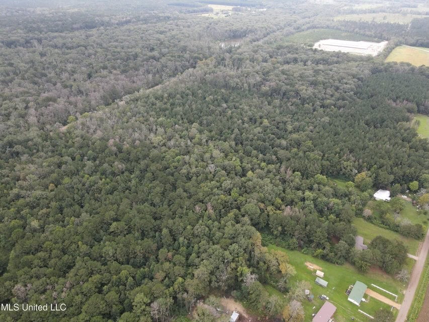 42 Acres for Sale with Old Country Home Scott Co MS