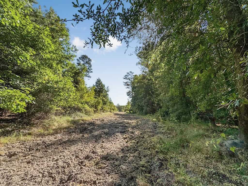 Hunting and Timberland for Sale in Ouachita Parish, LA