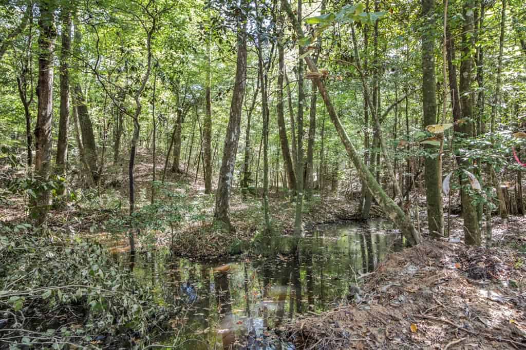 Turnkey Property in Amite County Connected to Caston Creek