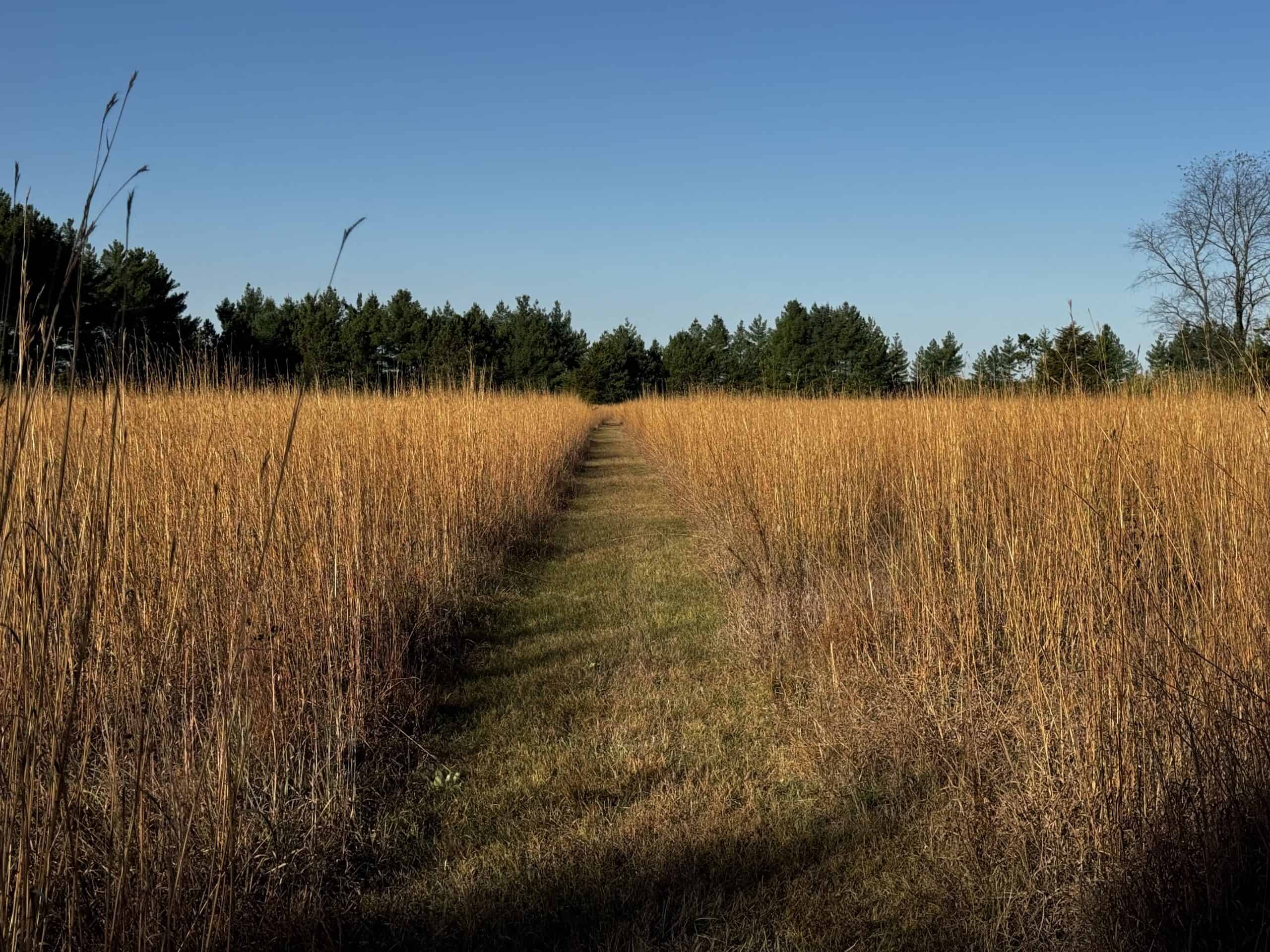 75 +/ Acres Just Minutes North of Wisconsin Dells WI UC Hunting