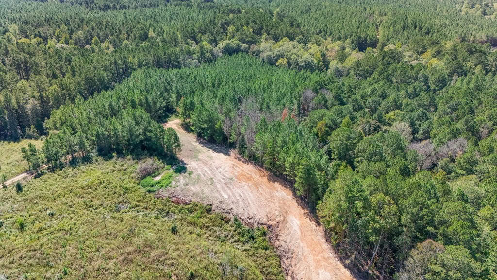 Turnkey Hunting Property Connected to Caston Creek WMA